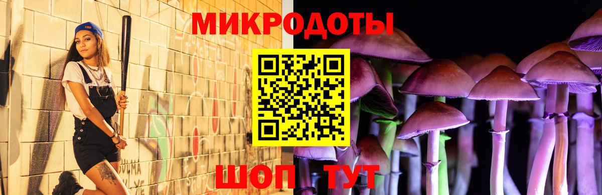 Галлюциногенные грибы прущие грибы  Псилоцибиновые грибы Psilocybine cubensis  Вход с VPN  Абинск 